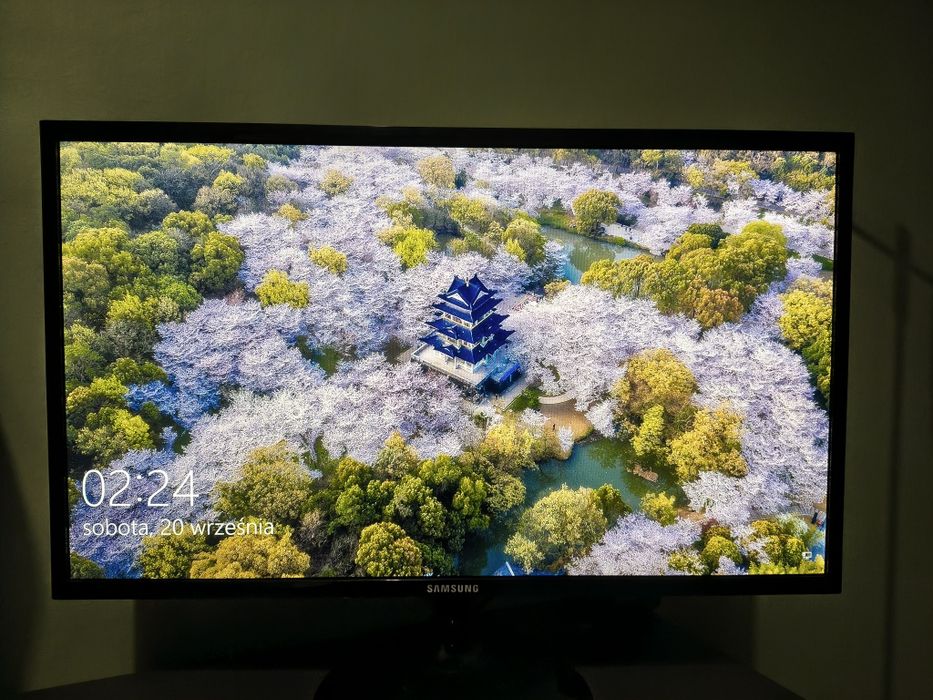 Monitor 24 cale SAMSUNG
