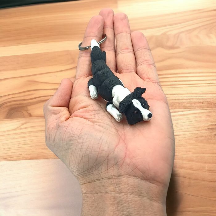 Ruchomy Brelok - Pies Border Collie Baby,  Breloczek, Brelok 71W1