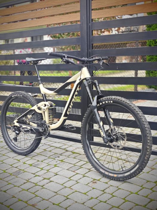Giant Reign SX 1 2019 roz L