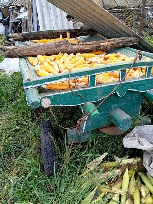 Продам віз для коня.