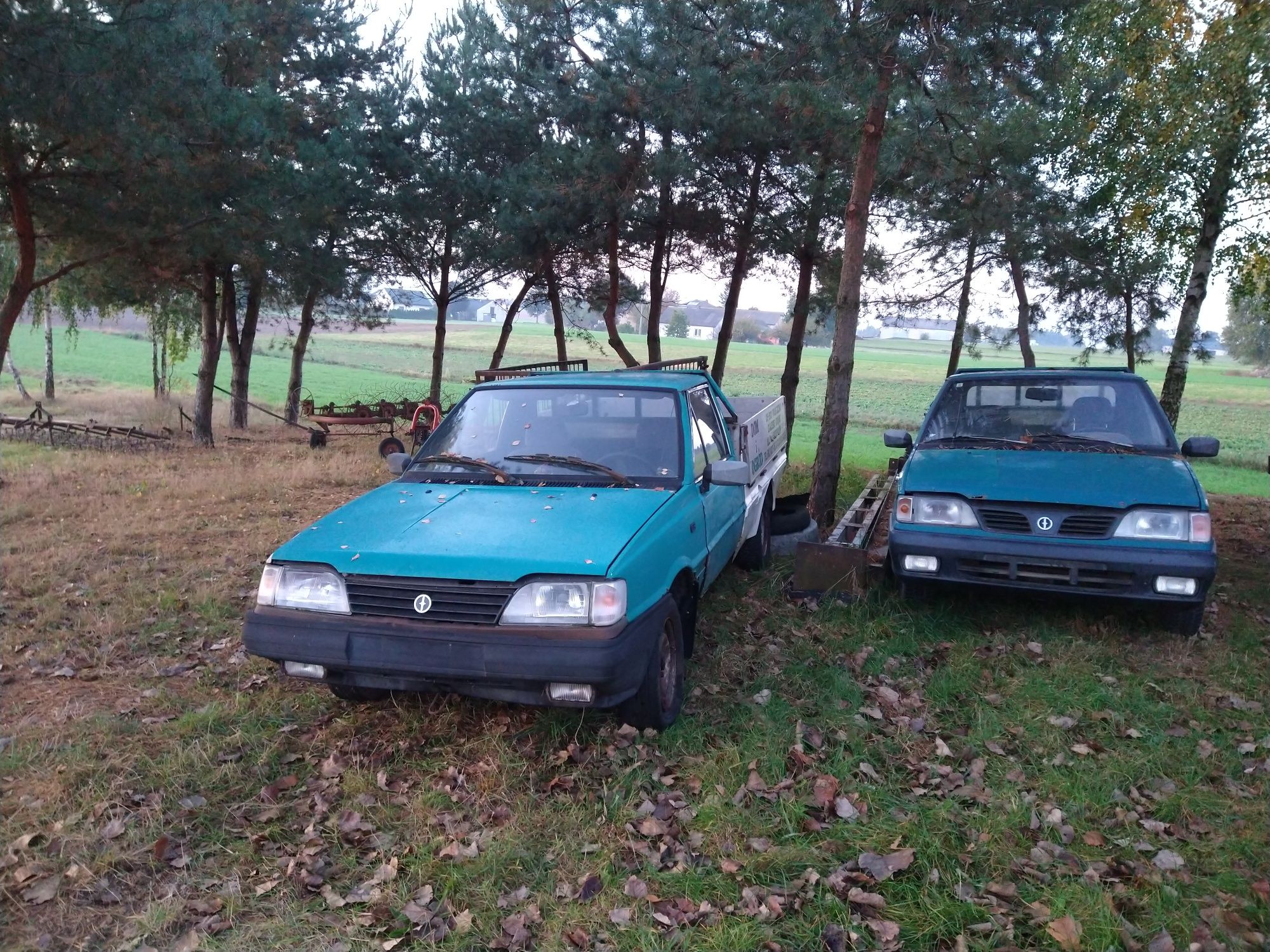 Polonez Truck Caro 1.9D 1.5B części