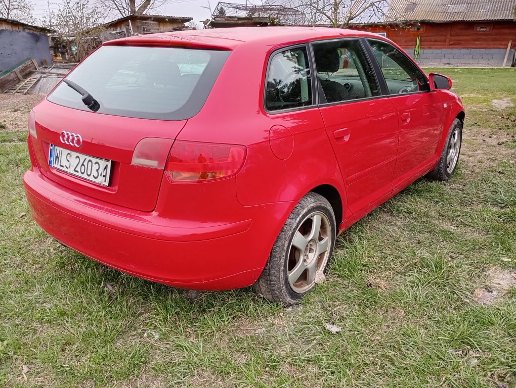 Audi A3. 8P   1.9 TDI .
