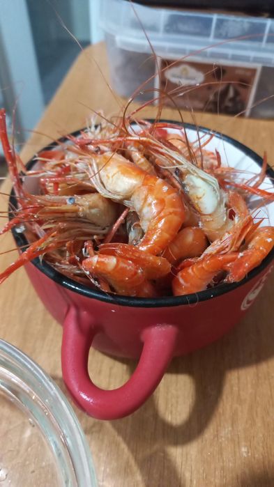 Креветка черноморская и дунайская