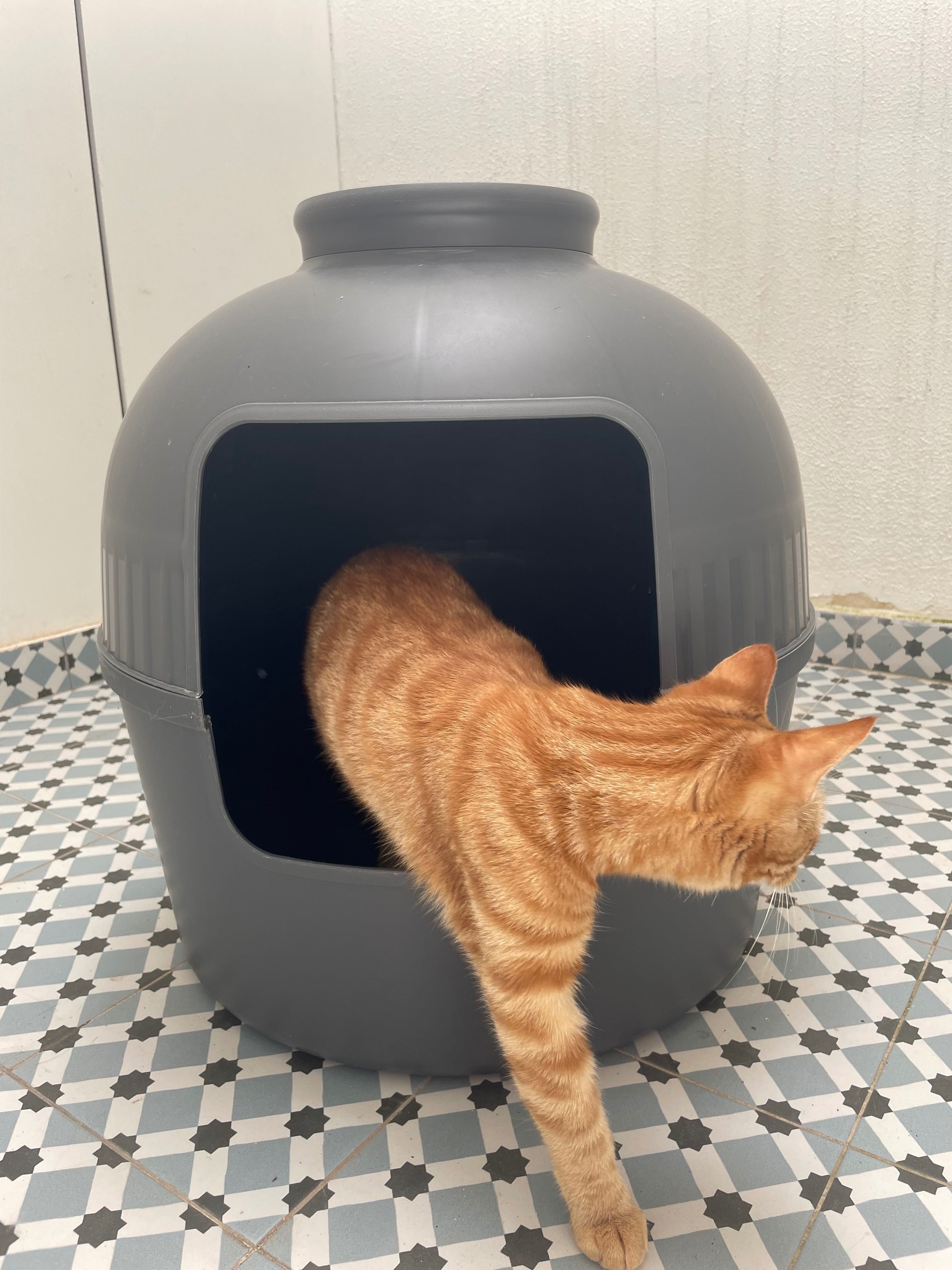 Caixa de Areia para gatos em forma de Vaso, cinza escuro, XXL