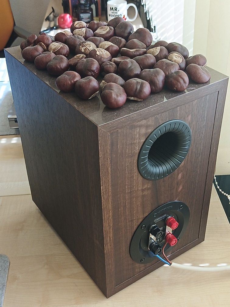 Kolumny Monitor Audio 100 podstawkowe super stan +uchwyty +podstawki