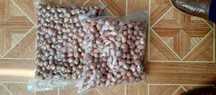 orzechy laskowe nie łuskane,pakowane próżniowo 10kg