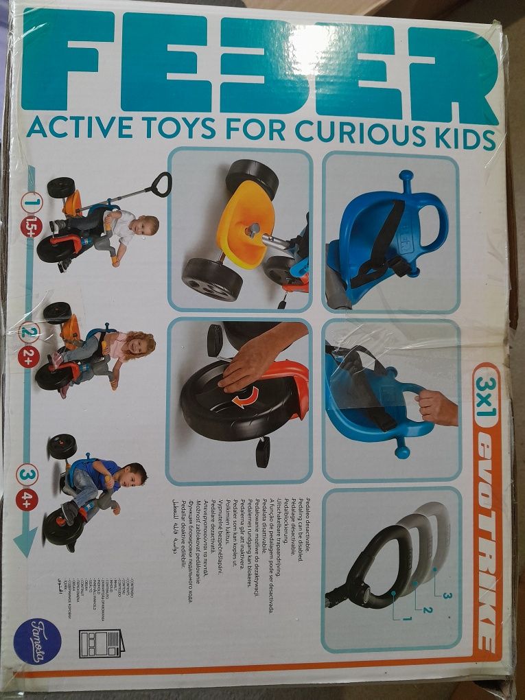 Triciclo evolutivo
