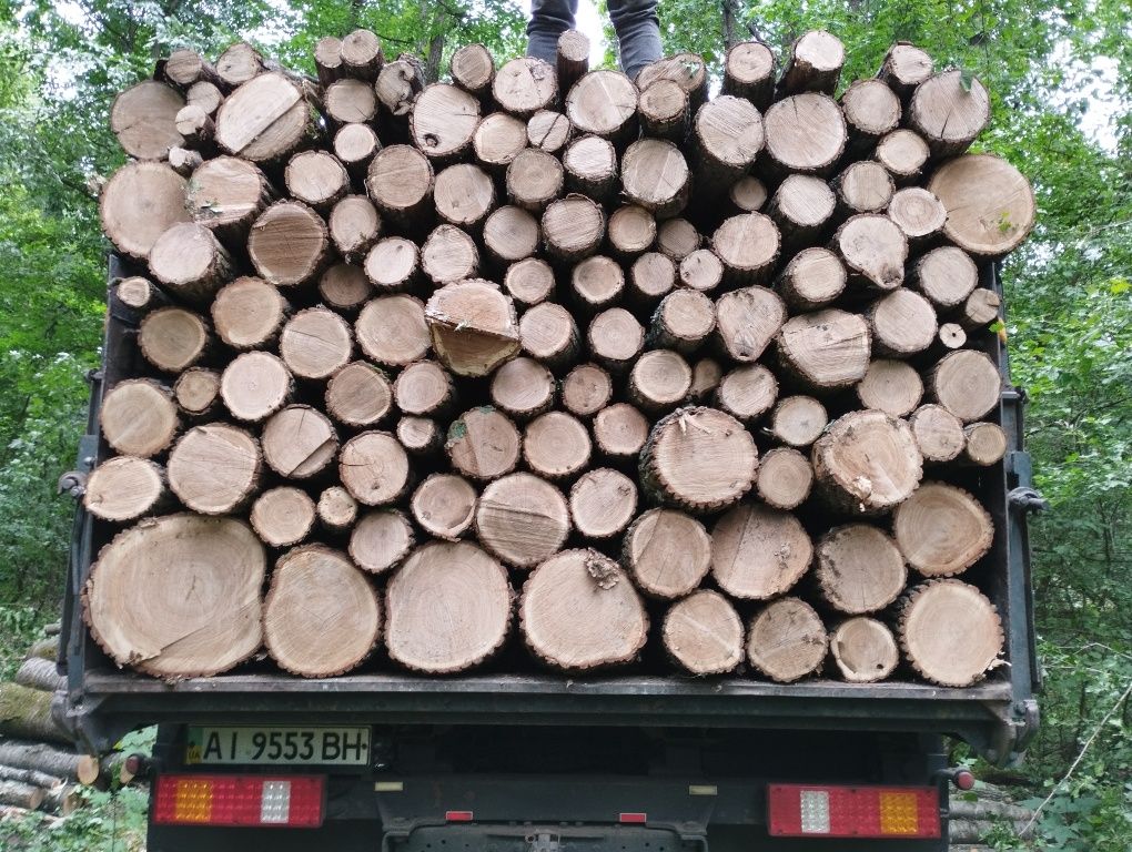 Дрова любых пород . В любом количестве.