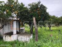Terreno com 20.060 m2 em Resgais, Parceiros de Igreja, Torres Novas