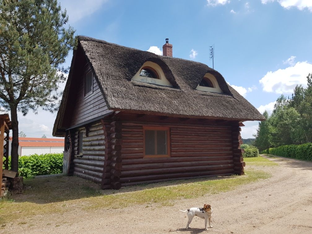 Domek na 8 osób,  weekend majowy, łowisko wędkarskie,  jazda konna