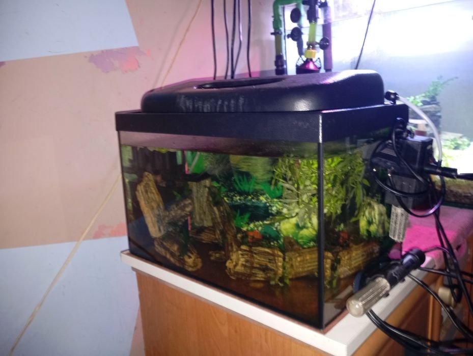 Terrarium 20litrow Turbo filtr PatMini 400l/h grzałka 50W