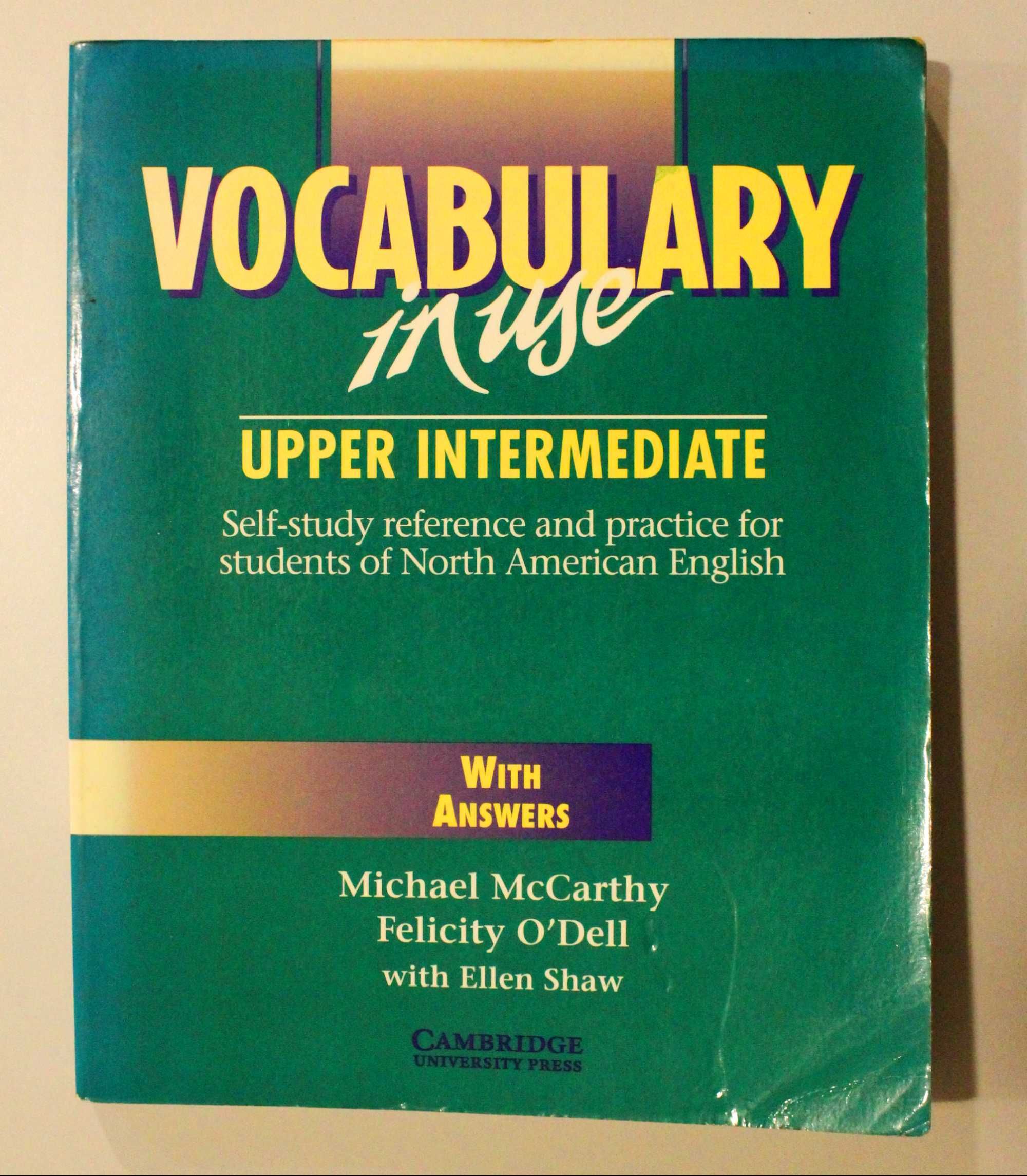 Vocabulary in use