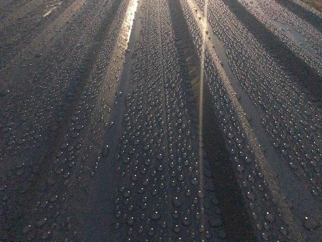 Blacha trapezowa dachowa T 18 blachy dachowe trapezowe NA WYMIAR