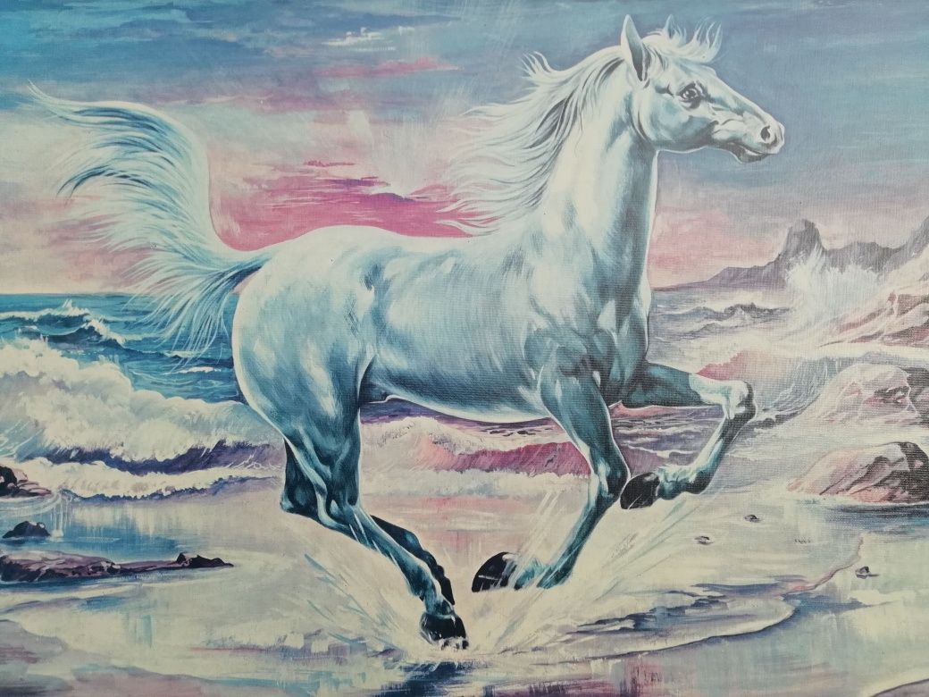 Quadro de Cavalo Branco Lindo