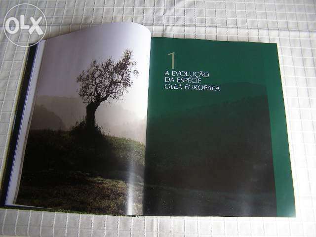 O grande livro da oliveira e do azeite- Portugal oleícola