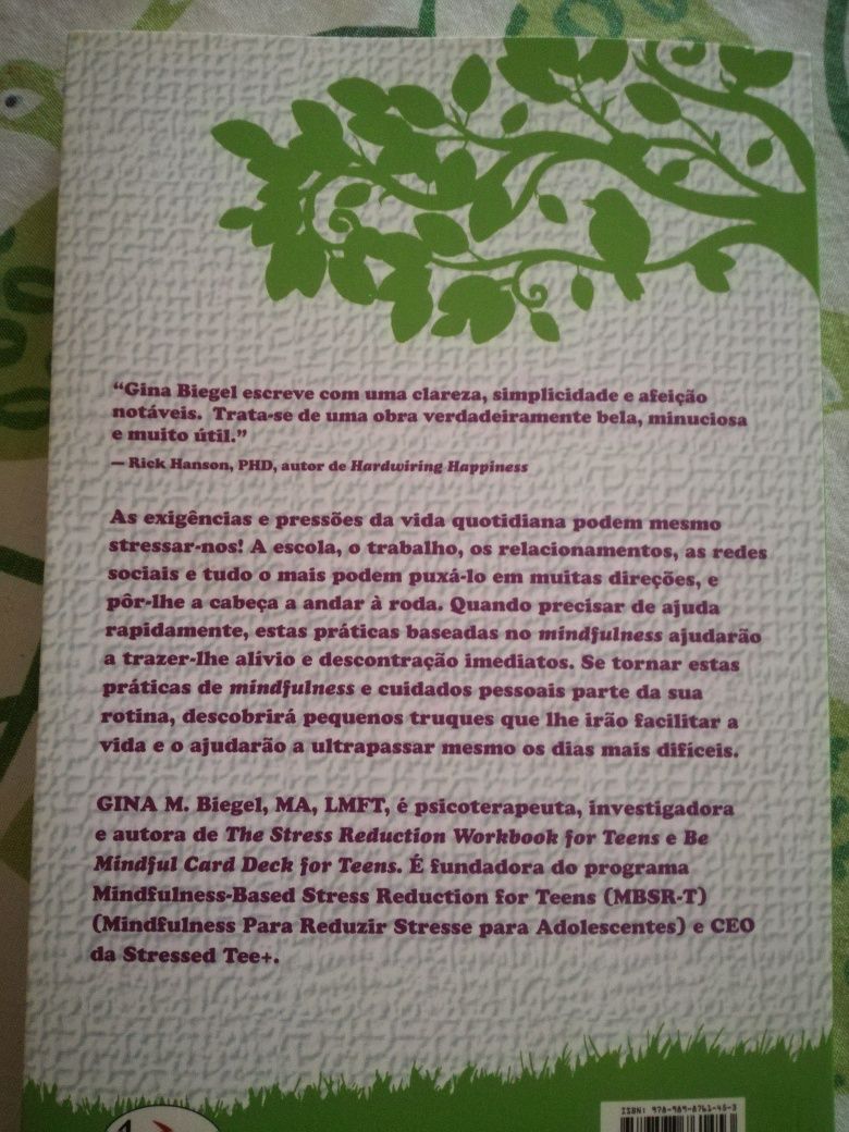Livro Seja Mindfulness e viva sem stress