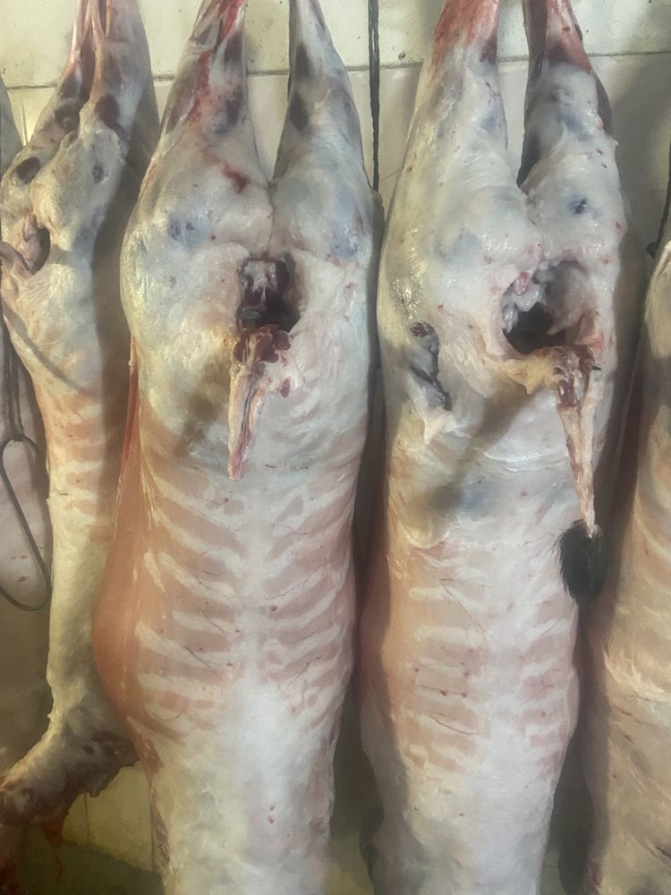 Бараніна мясо продам