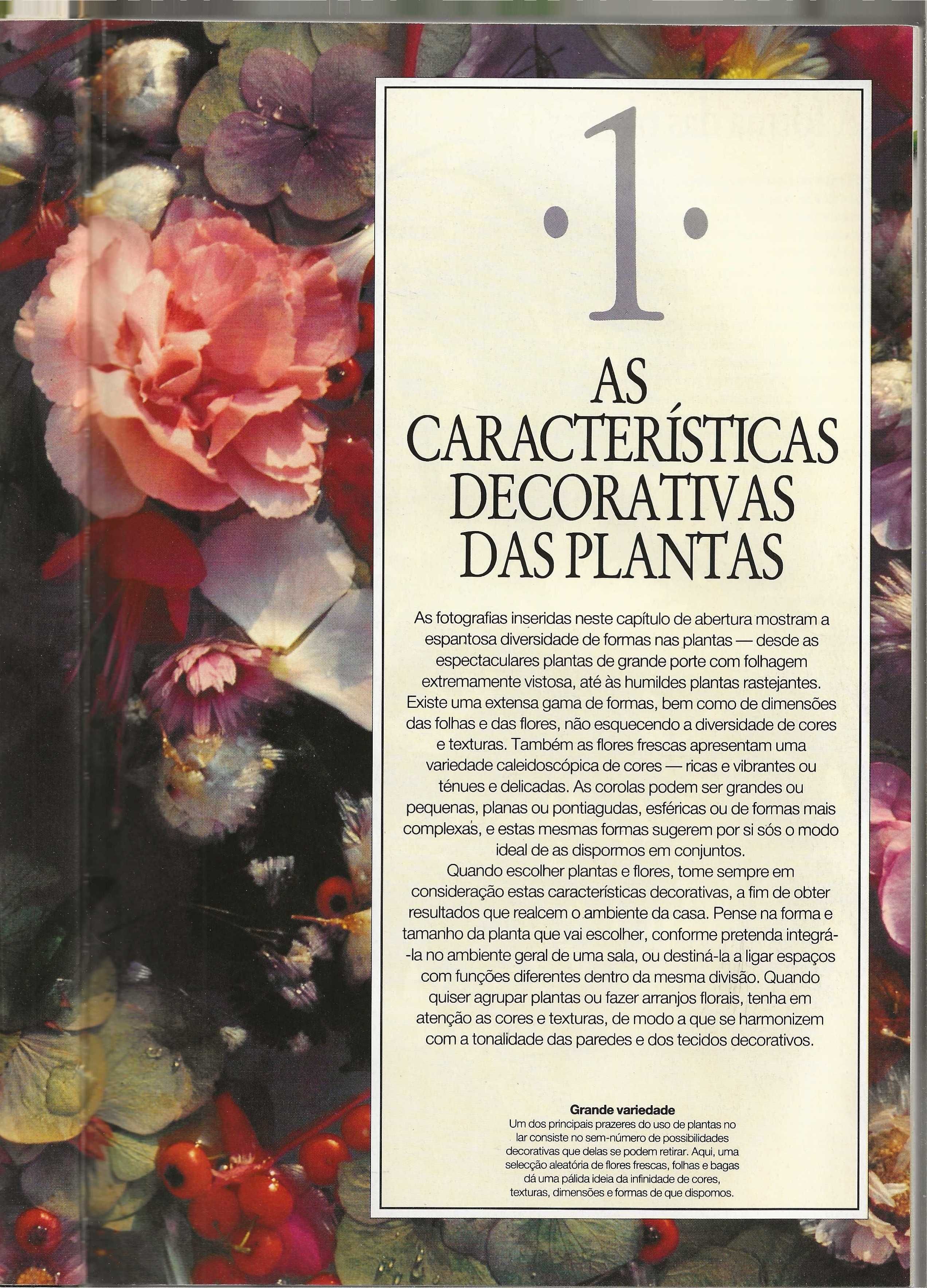O Jardim Em Casa