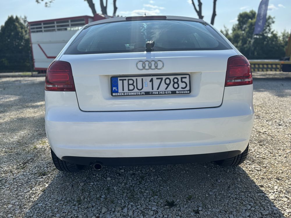 Audi A3 8P 1.6 MPI | 2009 | Bogate wyposazenie | Stan bardzo dobry
