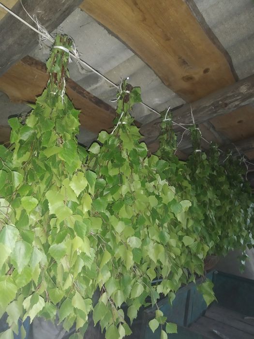 Дубові на баньку