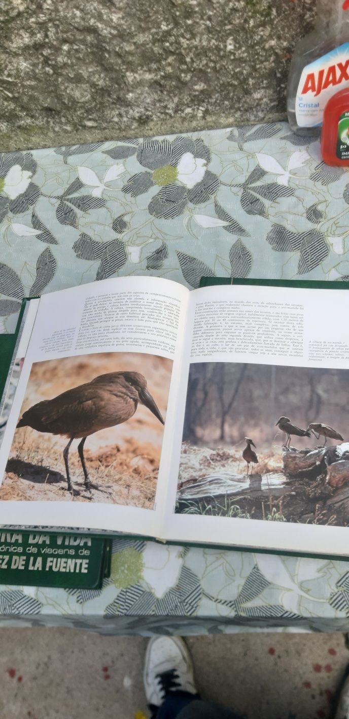 Coleção de livros "Aventura da vida"