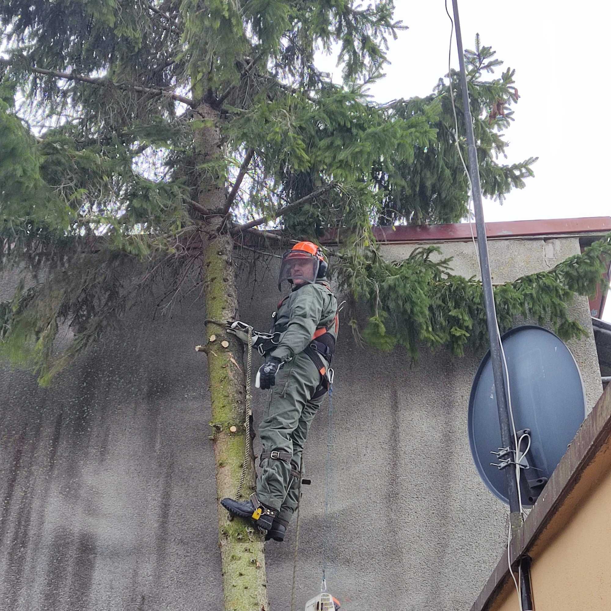 Podnośnik koszowy 30 i 18m.Wycinka drzew.Rębak, frezowanie pni