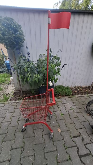 Wózek sklepowy dla dzieci