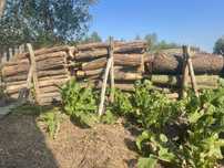 Продам Дрова Дуб ,ясен  ,вільха ( суха)