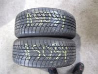 Bridgestone driveguarowinter 205/55/16