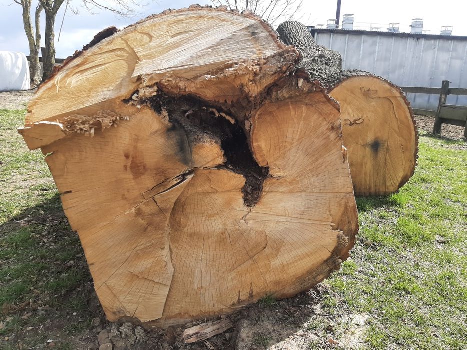 Sprzedam kłody dębowe.