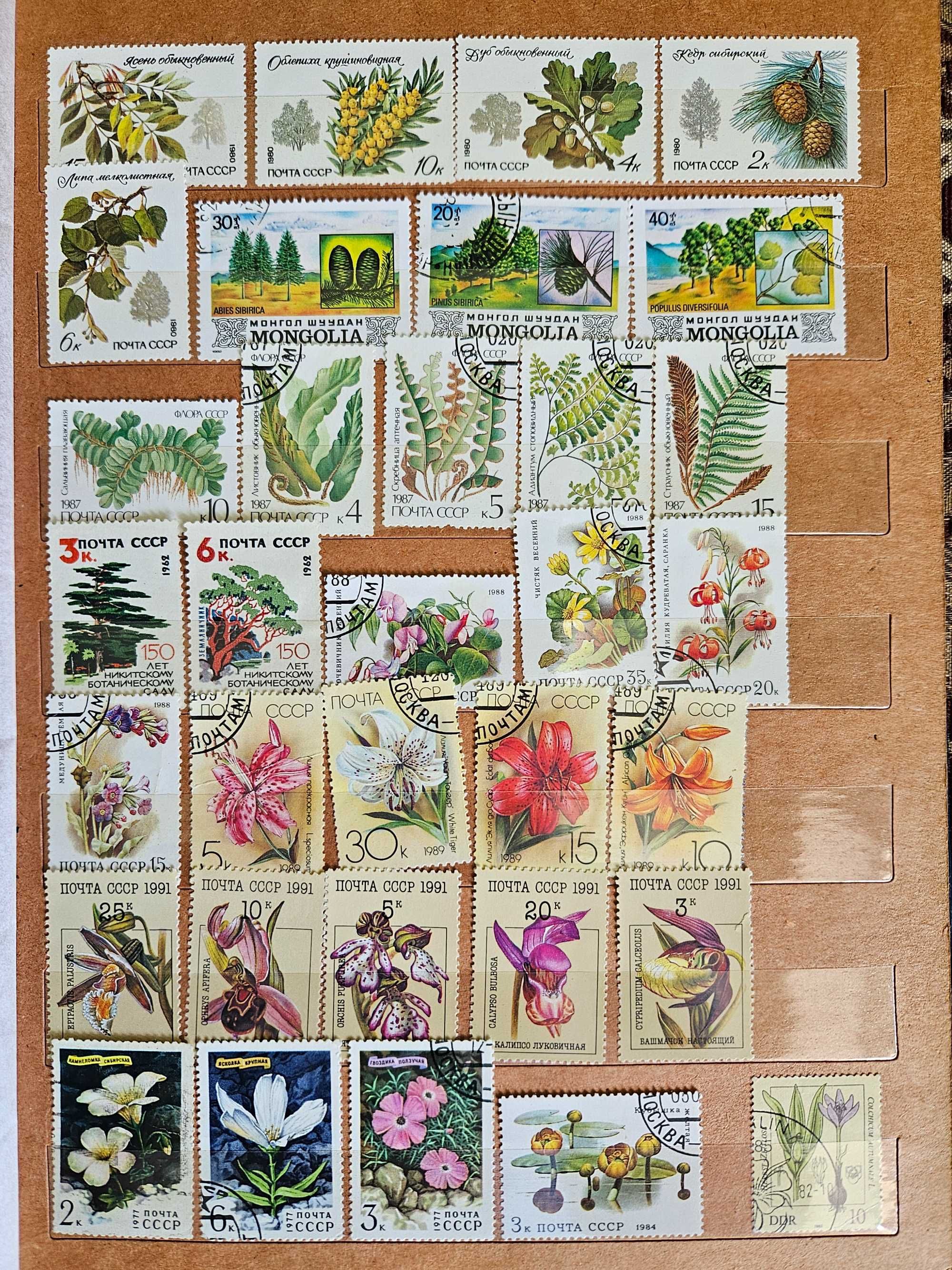 Колекція марок "Флора і фауна"