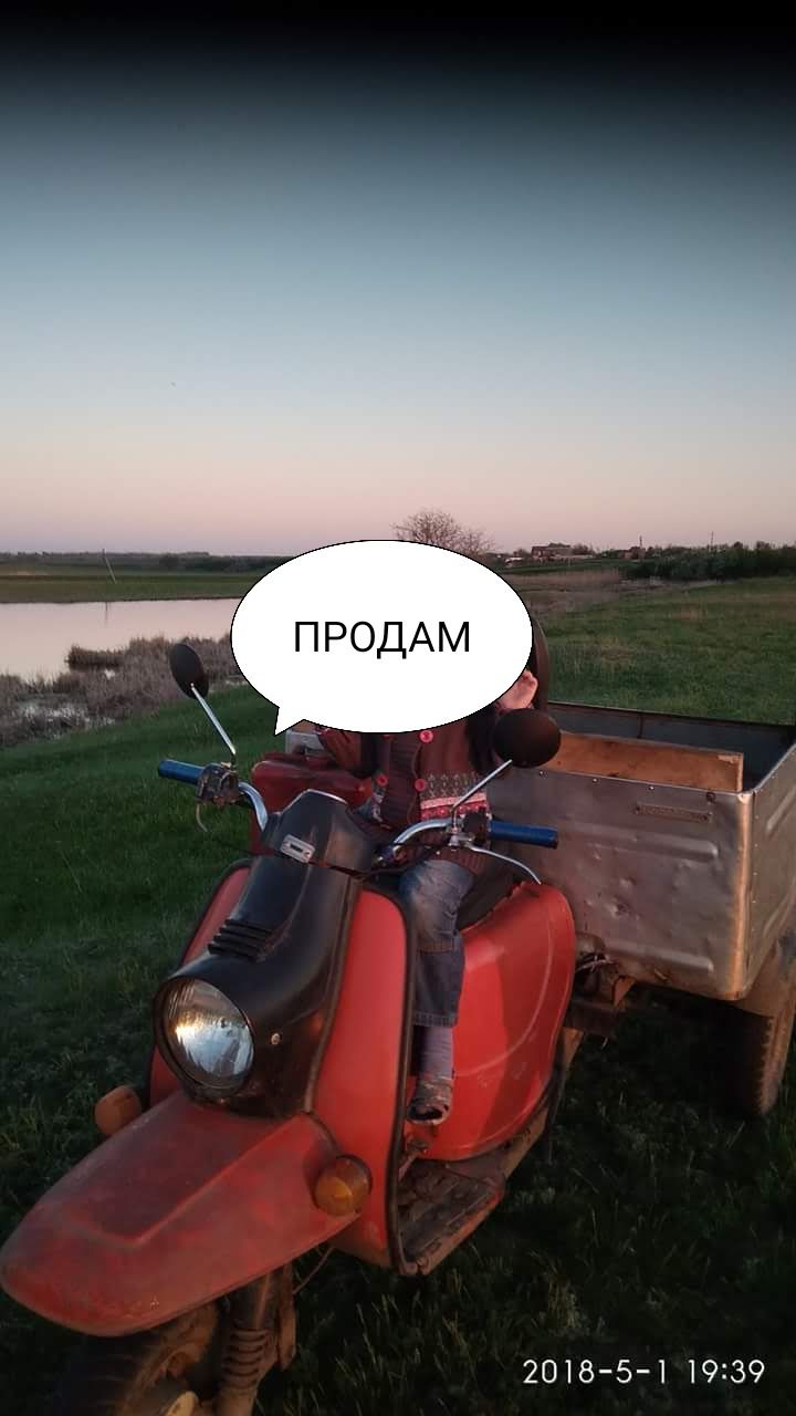 Продам муравей 2м