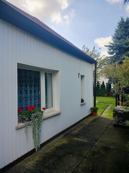 Wynajmę domu w Strzelcach Op