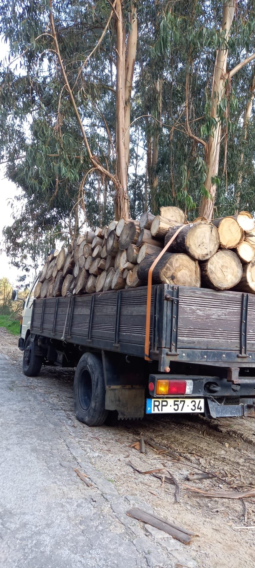 Limpeza de terrenos/ Lenha seca