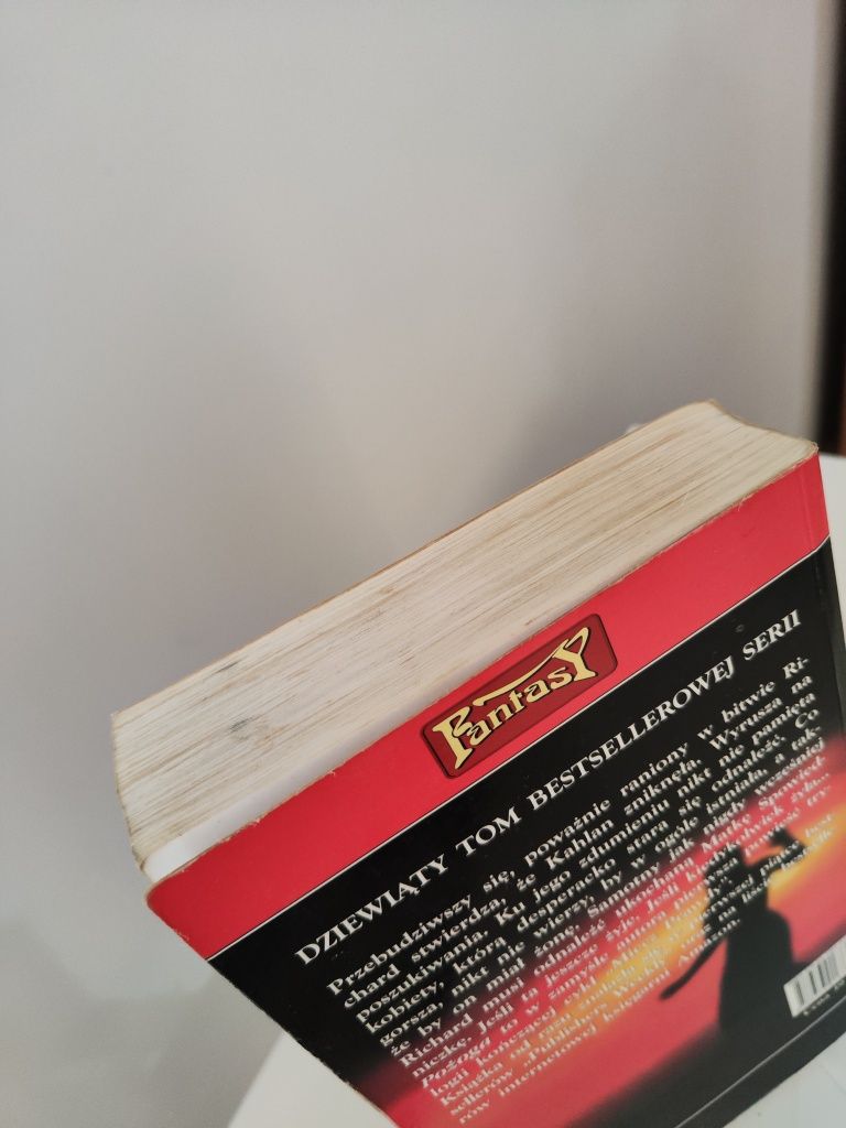 Pożoga - Terry Goodkind