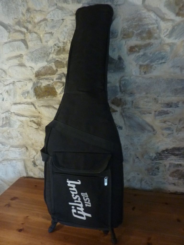 Gibson 2010 SG Special