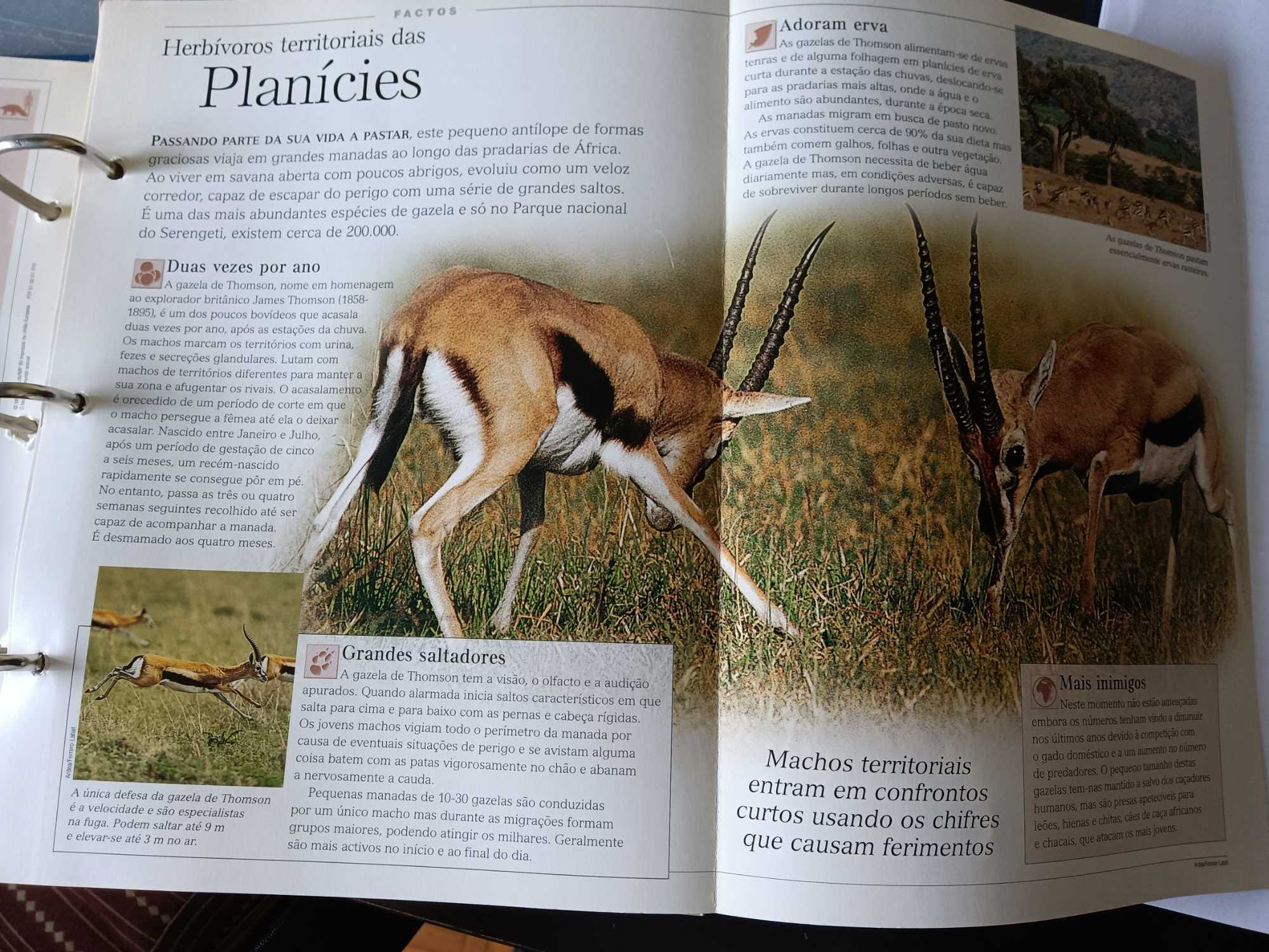 coleção de fascículos "O fascinante mundo animal"