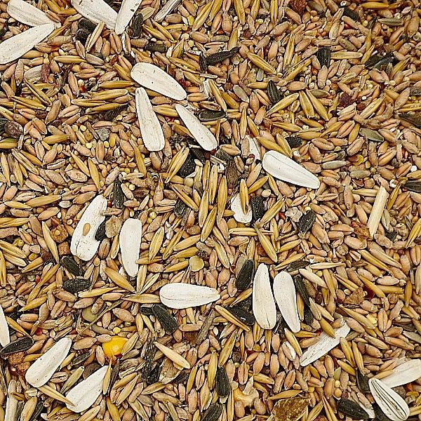 5kg Karma zimowa dla ptaków zimujących podstawowa mix ziarno słoneczni