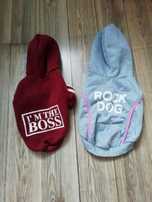 Bluzy dla pieska