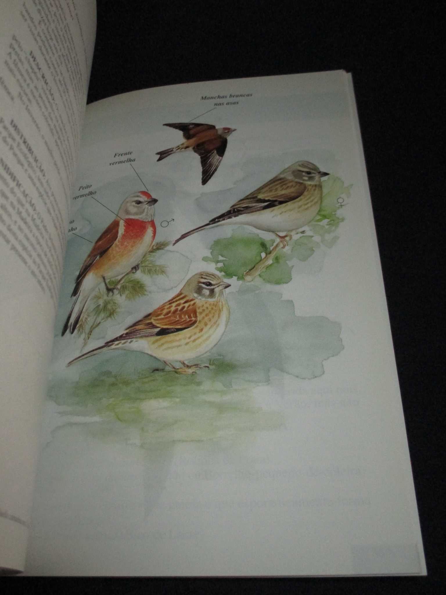 Livro Guia de Campo das Aves Duarte B. Câmara