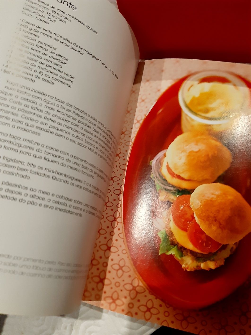 Livro mini- hambúrgueres