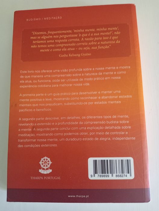 Como Entender a Mente