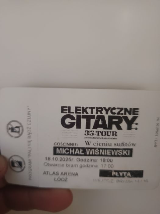Bilet atlas arena elektryczne gitary i Michał Wisnieski