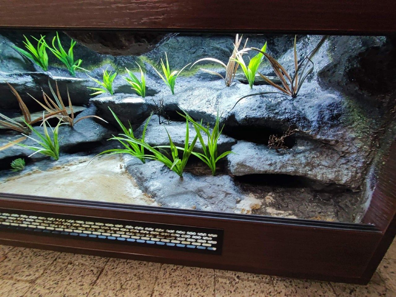 Terrarium gekon lamparci jaszczurka agama PETMARKET