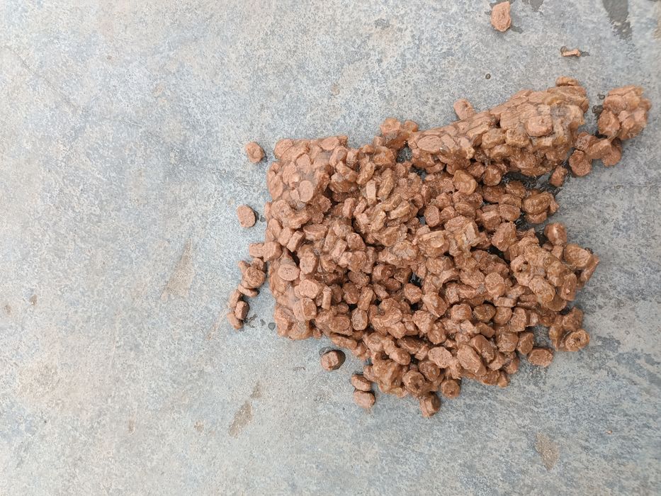 Mokra karma dla psa 20x500g wołowina