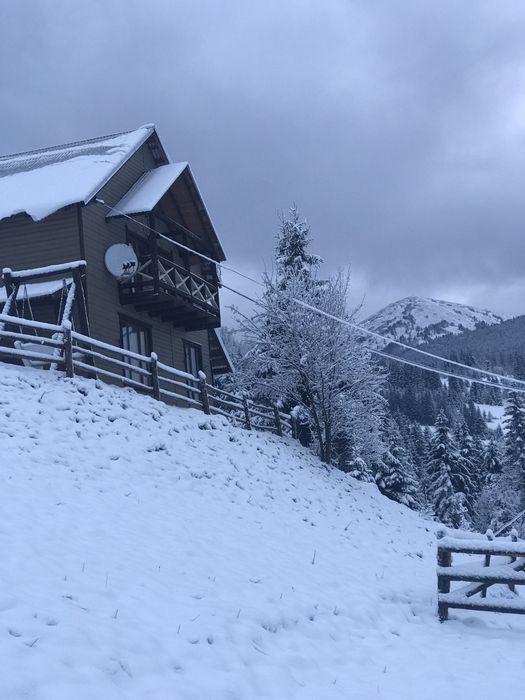 Котедж у Карпатах Буковель ( Поляниця )