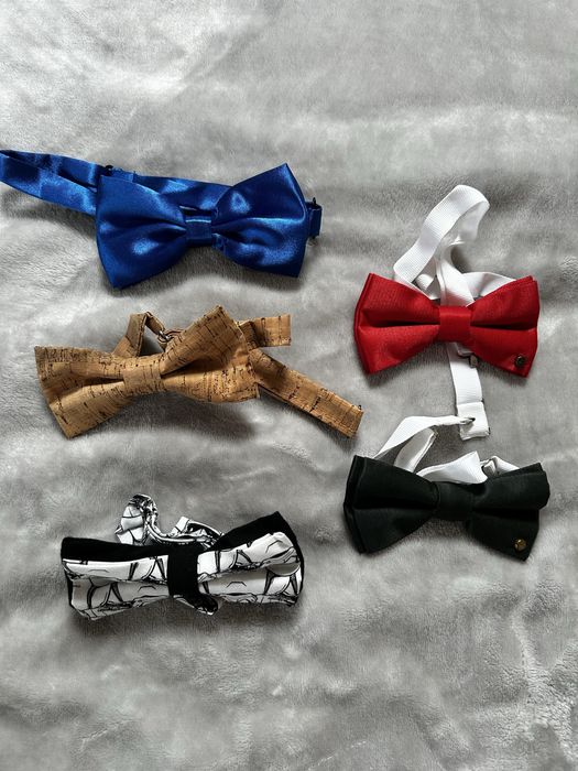 Muszki męskie różne rodzaje