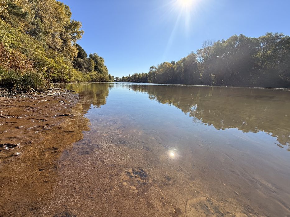 22 сот біля канала з рибою газ в 5 метрах до столиці 25км біля моря