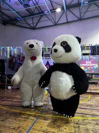 Żywa chodząca maskotka Miś Panda przebranie Mega Jakość , dla dzieci !