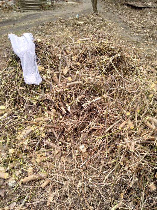 Дрова чурки попиляні 30-40 см,  дробленка, щепа брикети RUF